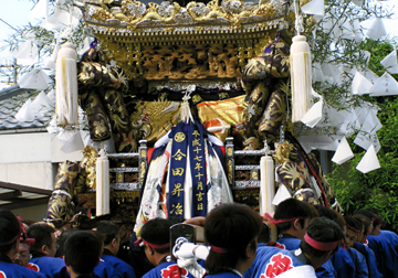 ���c�l�i�P�H�s������j