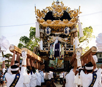 ���C�l�i�P�H�s������j